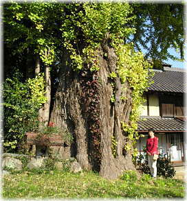 �摜�F�֖x�̑��ǁi���ƕ��ԁj