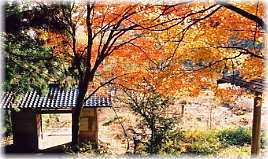 画像：正福寺境内の紅葉