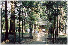 画像:武田八幡神社の社叢