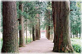 画像:熊野神社参道
