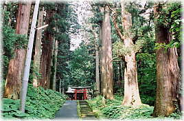画像:巌鬼山神社参道