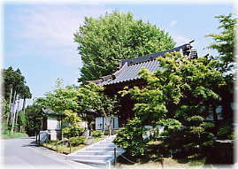 画像:広徳院の大公孫樹(遠景)