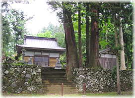 画像:南六呂師白山神社のスギ