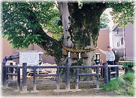 �摜�F�o���̑�P���L�i���ƕ��ԁj