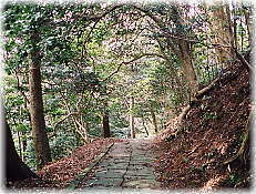 画像:筥堅八幡宮参道