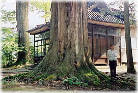 �摜�F�{���䔄�_�Ђ̃X�M�i���ƕ��ԁj