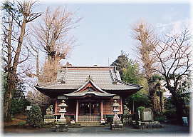 画像:荻野神社のイチョウ(遠景)