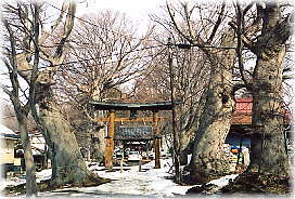 画像:小内八幡神社参道