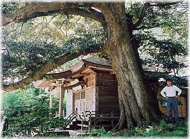 �摜�F�F�ދ�u�_�Ђ̑�Łi���ƕ��ԁj